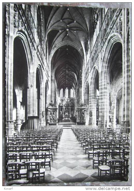 CP De SAINT HUBERT " Intérieur De La Basilique .". - Saint-Hubert