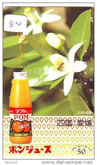 ABEILLE BIENE BEE BIJ ABEJA (84) - Honeybees