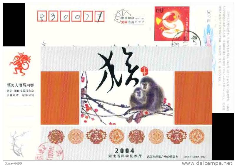 Monkey Painting Flower  Postal Stationery,  Pre-stamped Postcard - Monkeys