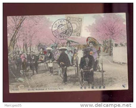 21909 Cherry Blossoms Of Yokohama Park N° Y273 , Pousse-pousse  Animée  Belle Carte - Yokohama