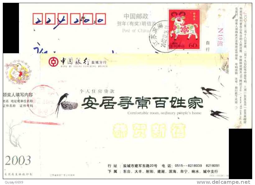 Swallow Bird ,   Postal Stationery,  Pre-stamped Postcard - Swallows