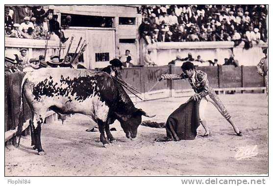 CORRIDA-LA MORT DU TORO (LE DESCABELLO) - Corrida