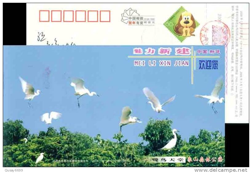 Bird    Stork Postal Stationery, Pre-stamped Postcard - Cigognes & échassiers