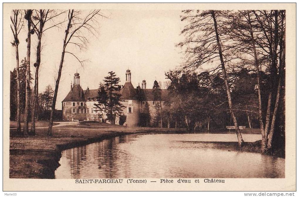 Saint Fargeau - Pièce D'eau Et Château - Très Jolie Prise De Vue - Saint Fargeau
