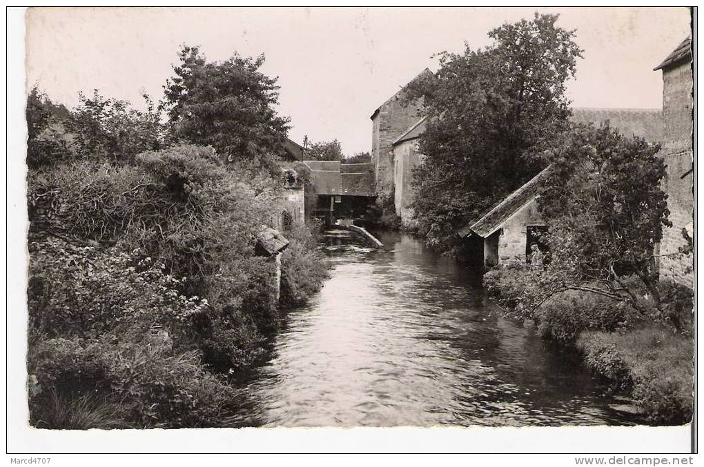 SACLAS 91 Les Bords De La Juine Edition Rameau Photo Véritable - Saclay