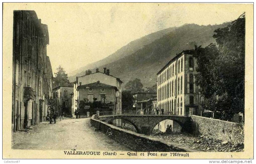 30 - GARD - VALLERAUGUE - QUAI Et PONT Sur L´HERAULT - BELLE CARTE - Valleraugue