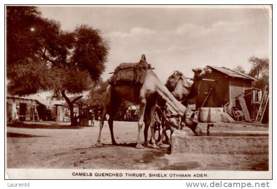 Old Aden Postcard -  Carte Ancinne De Aden - Yemen