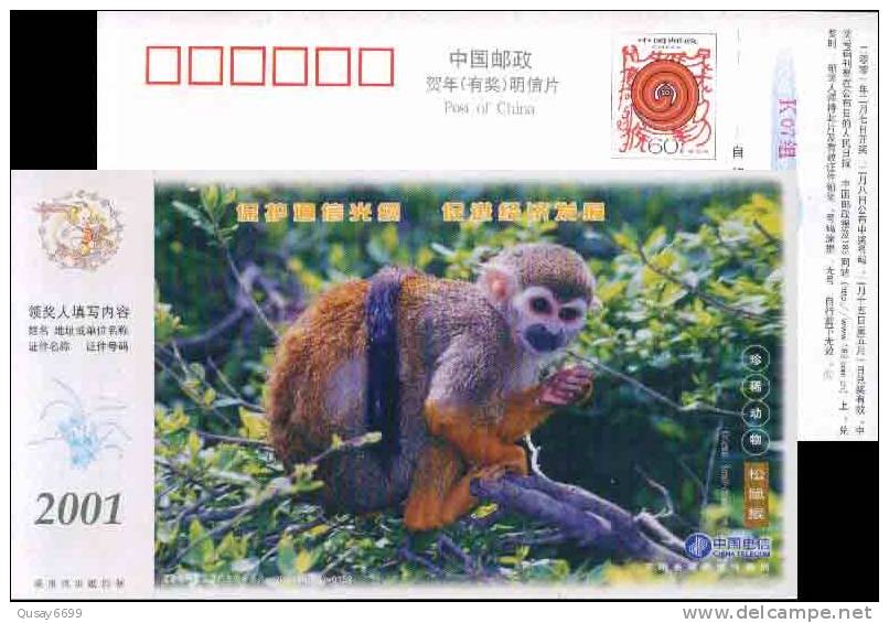 Monkey  Pre-stamped Postcard, Postal Stationery - Monkeys