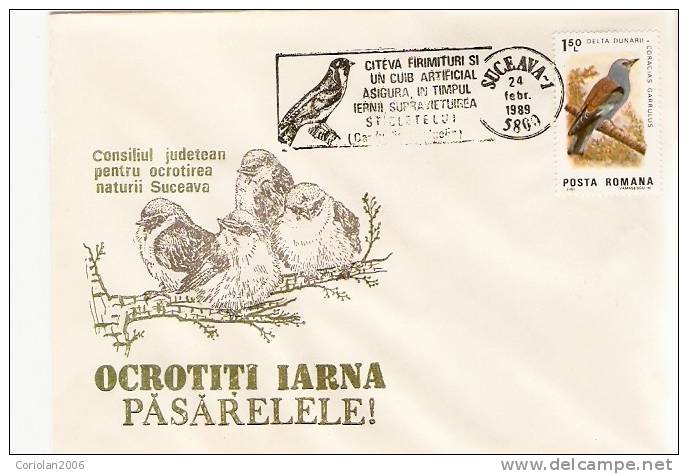 Romania/special Cover/protect The Birds, 1989 - Autres & Non Classés