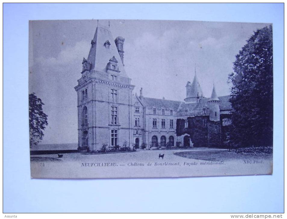 Le Château De Bourlémont, Chien Dans La Cour . Vosges - Neufchateau