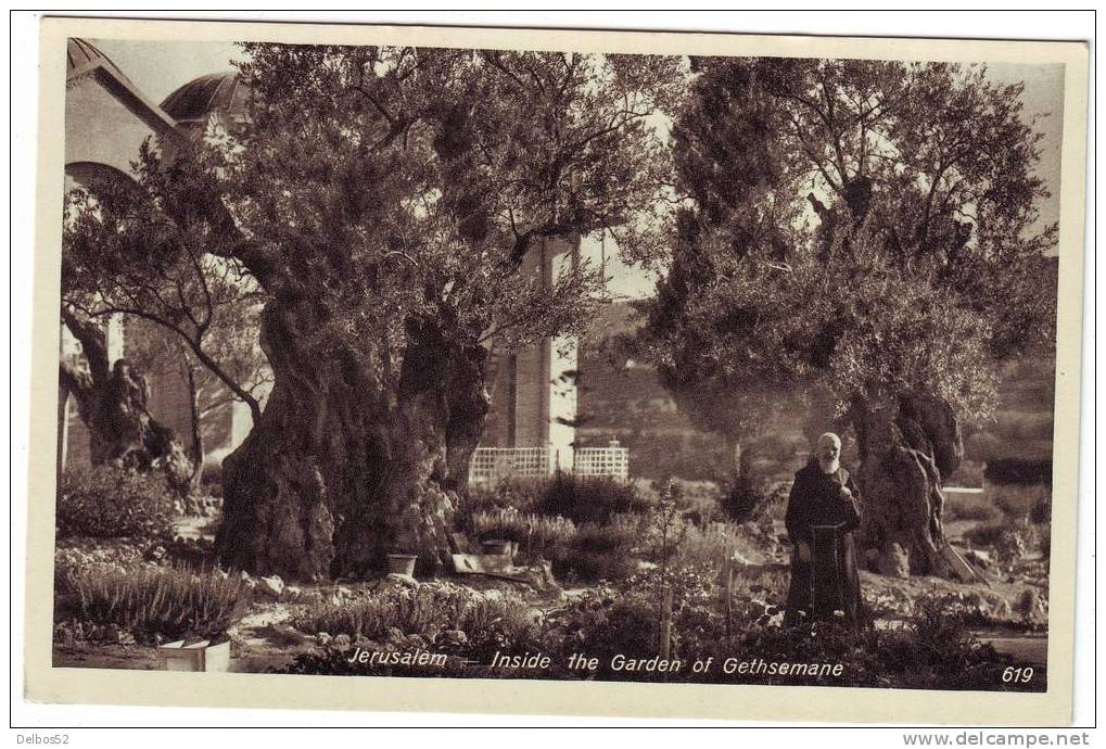 Jerusalem - Inside The Garden Of Gethsemane - Palästina