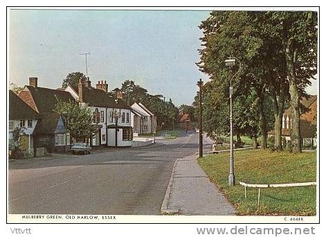 HARLOW : Old Harlow, Mulberry Green (circulée) - Other & Unclassified