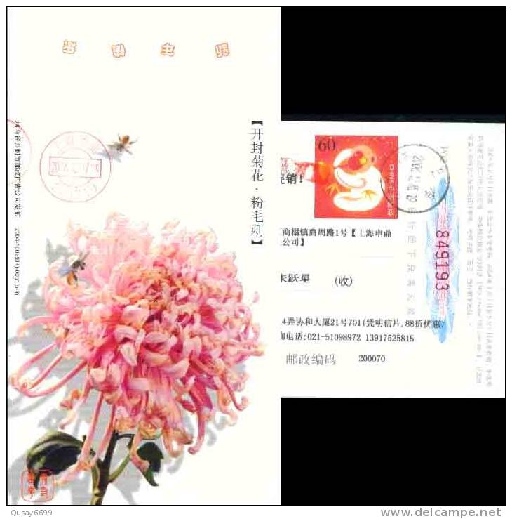 Insect Bee Flower   Pre-stamped Postcard , Postal Stationery - Abeilles