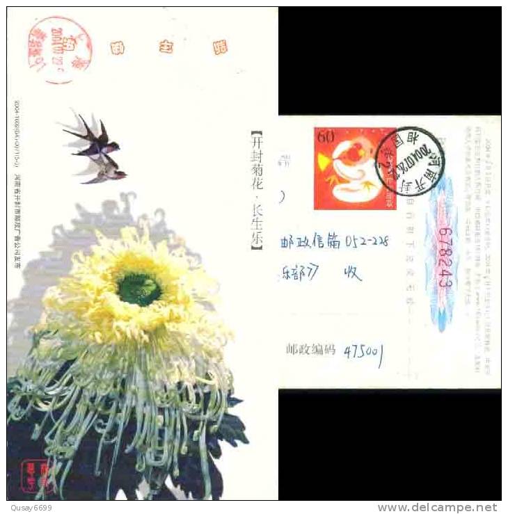 Bird Swallow Flower Pre-stamped Postcard , Postal Stationery - Swallows