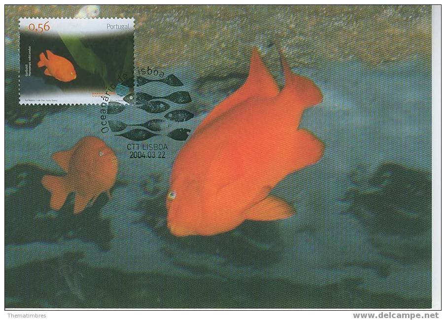 C2025 Poisson Portugal 2004 FDC Premier Jour Maximum - Maximumkaarten