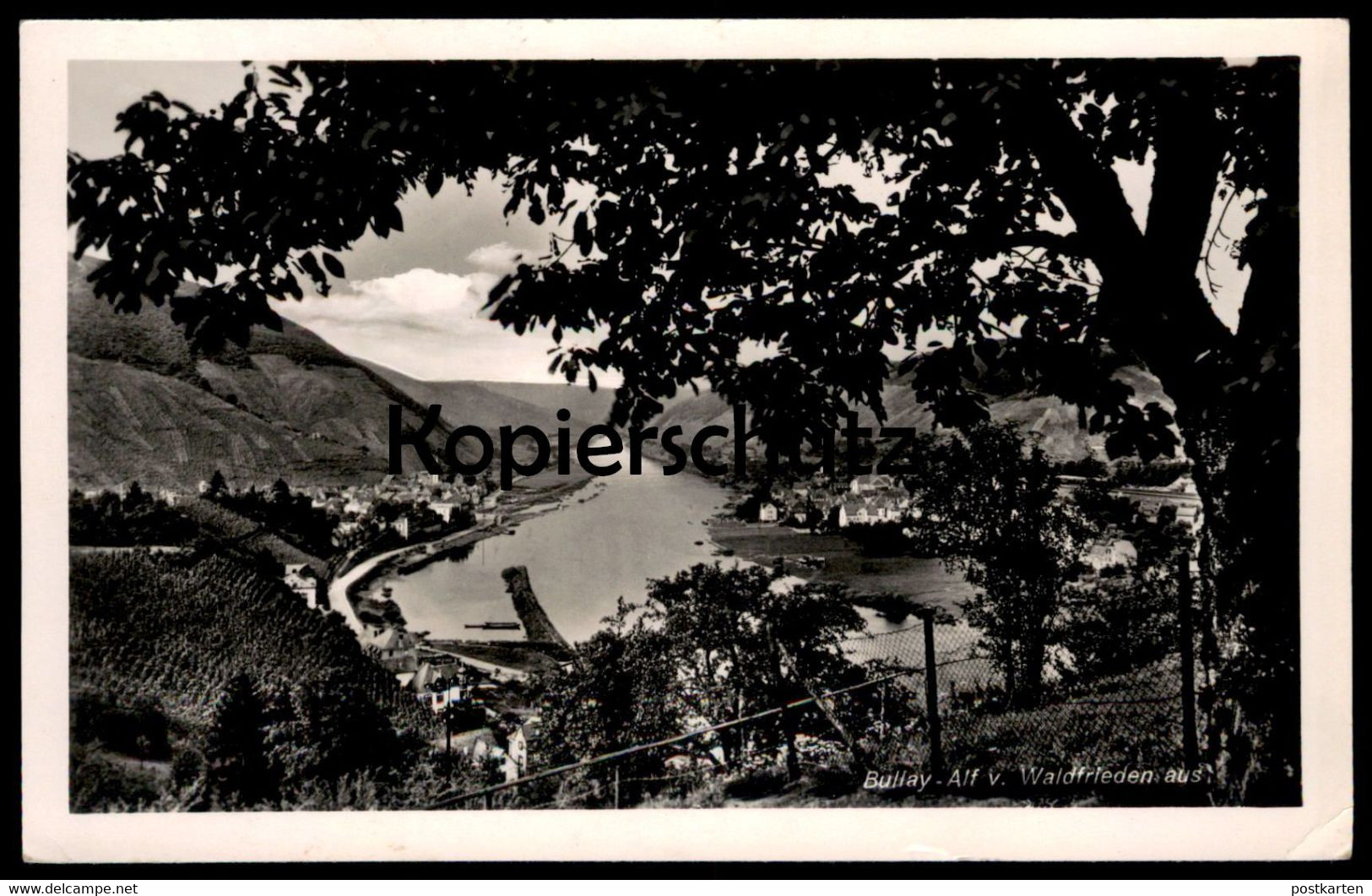 ALTE POSTKARTE ALF-BULLAY VOM WALDFRIEDEN AUS MOSEL AK Ansichtskarte Cpa Postcard - Alf-Bullay