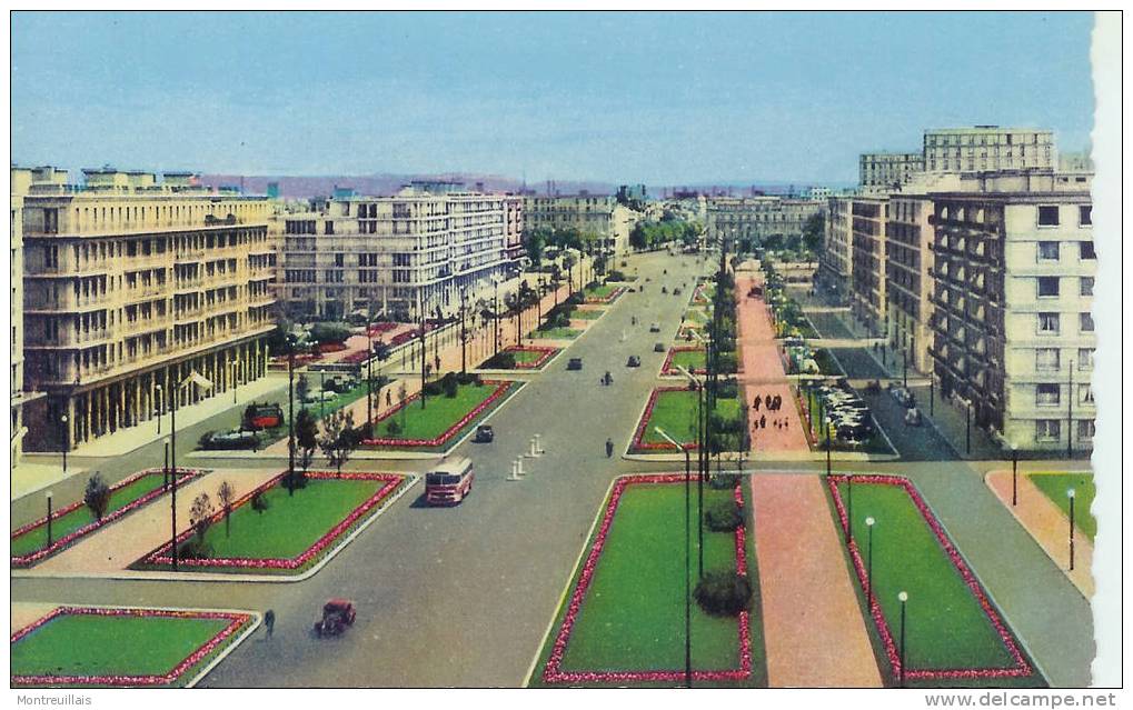 LE HAVRE, Boulevard Foch, Carte écrite, Timbrée, N° 7 - Cap De La Hève