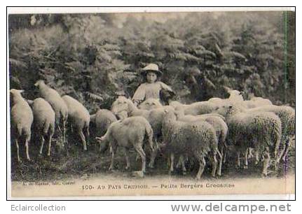 Type Creusois     23   .Petite Bergère.. Moutons - Andere & Zonder Classificatie