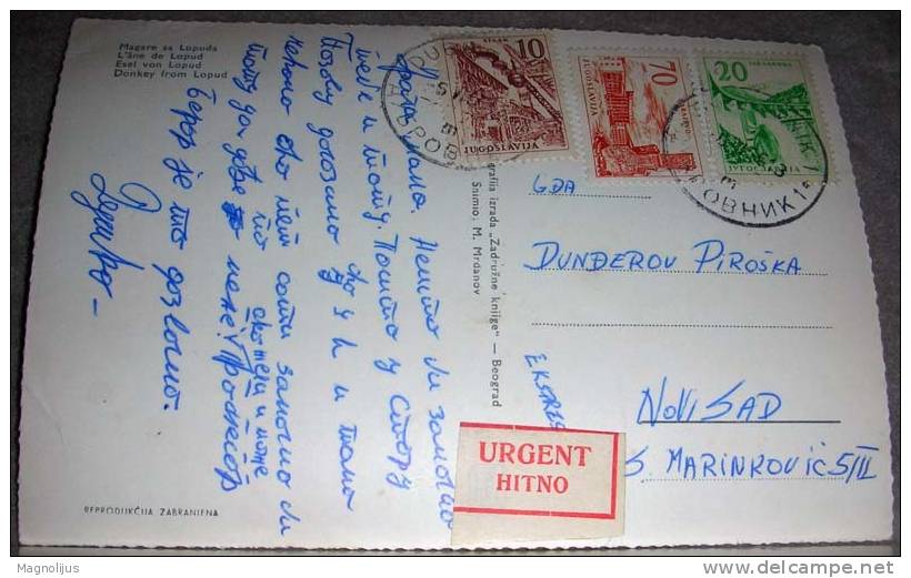 Additional Stamps,Urgent,Label,Animals,Donkey,Croatia,Lopud,postcard - Anes