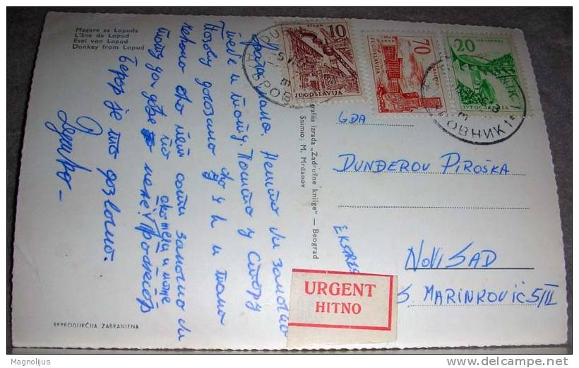 Additional Stamps,Urgent,Label,Animals,Donkey,Croatia,Lopud,postcard - Donkeys