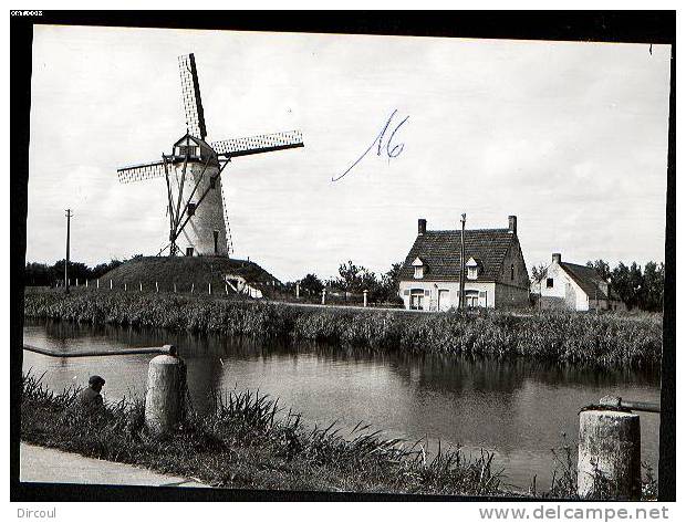 6519 -   Damme  Le  Moulin  Photo  épreuve   14,5  X   10,5 - Damme