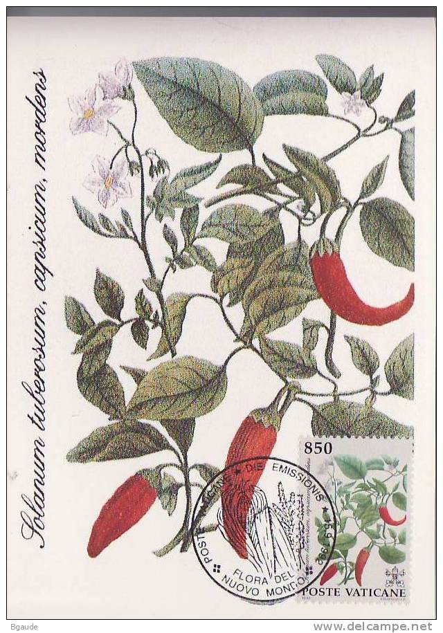 VATICAN CARTE MAXIMUM NUM.YVERT  934 FRUITS TROPICAUX - Cartes-Maximum (CM)