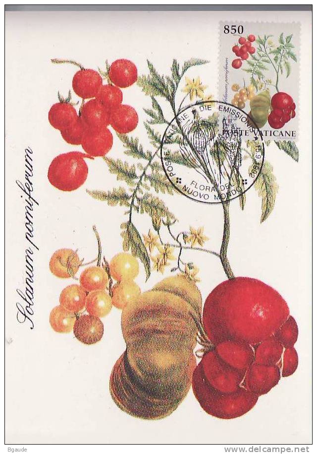 VATICAN CARTE MAXIMUM NUM.YVERT  931 FRUITS TROPICAUX - Maximumkarten (MC)