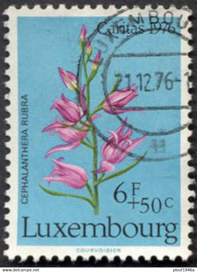 Pays : 286,05 (Luxembourg)  Yvert Et Tellier N° :   909 (o) - Used Stamps
