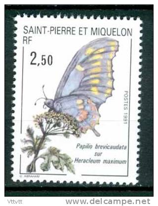 SAINT-PIERRE-ET-MIQUELON, 1991, N° 534** (Yvert Et Tellier), Faune Et Flore, Papillon. - Unused Stamps