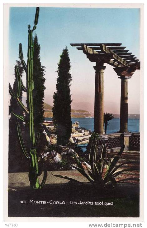 Monte-Carlo Les Jardins Exotiques - Giardino Esotico