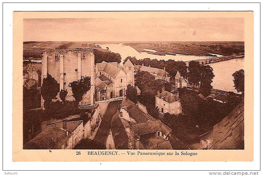 BEAUGENCY - Vue Panoramique Sur La Sologne - Beaugency