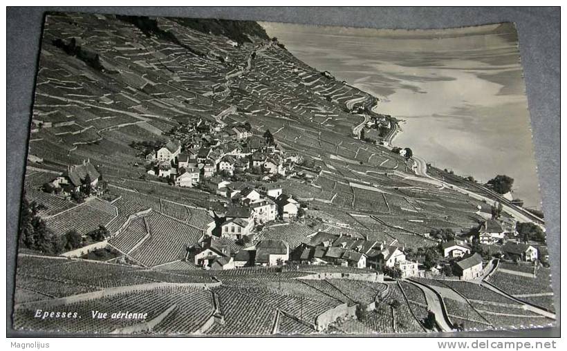 Switzerland,Epesses,Air View,Total,Village,Original Photo,postcard - Épesses