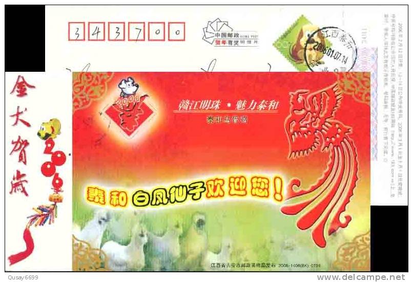 Cock Chicken Hen  , Pre-stamped Postcard, Postal Stationery - Ferme