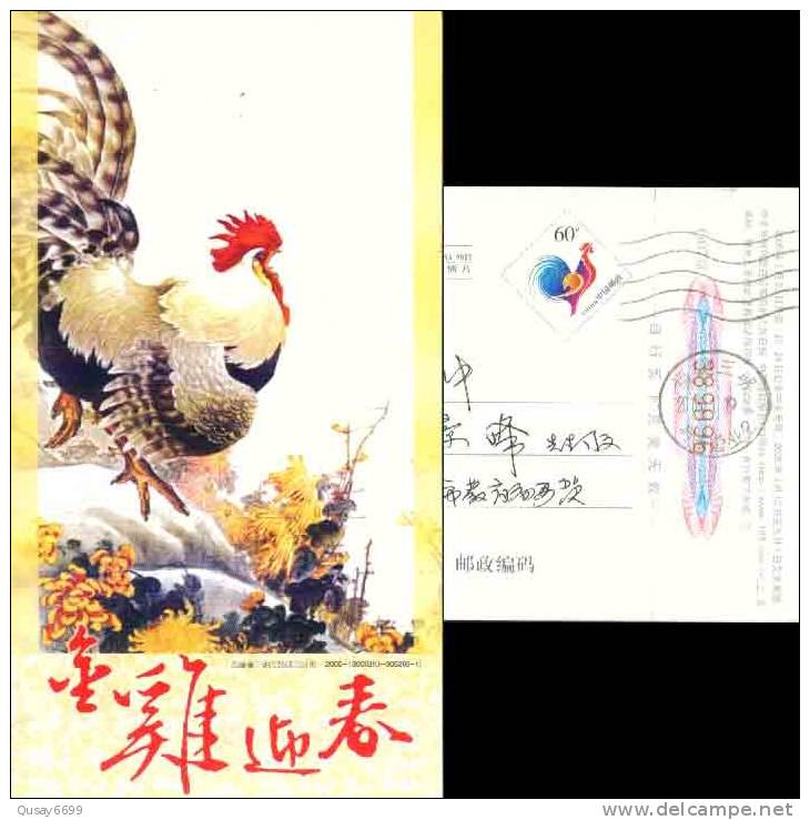 Cock Chicken Flower, Pre-stamped Postcard, Postal Stationery - Hoftiere