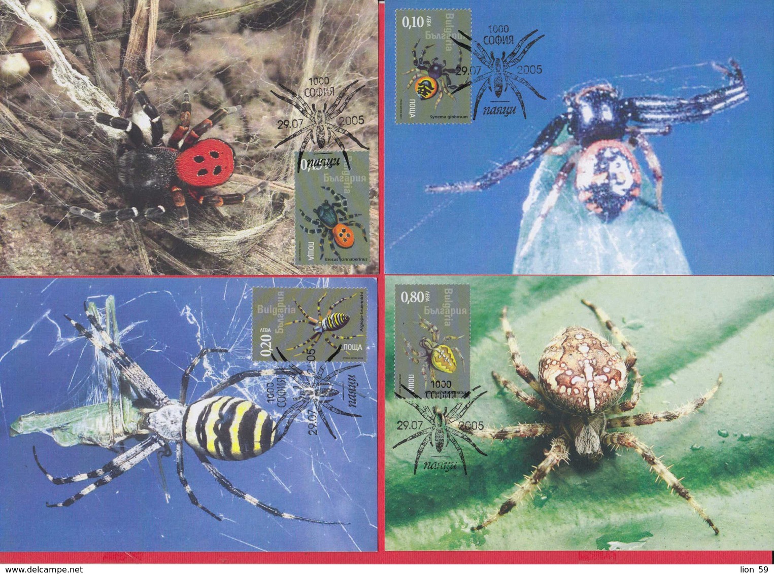 D2426 / Bulgaria Maxi Card Maximum 2005 /4695-98 FAUNA - SPIDER SPIDERS Arachnid - Insects