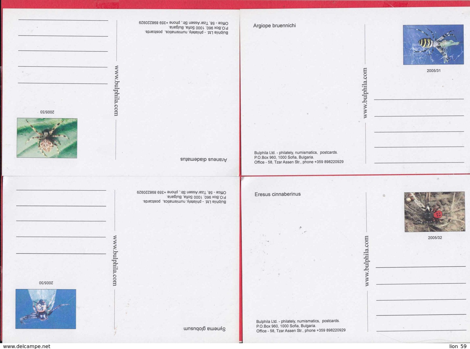 D2426 / Bulgaria Maxi Card Maximum 2005 /4695-98 FAUNA - SPIDER SPIDERS Arachnid - Insectos