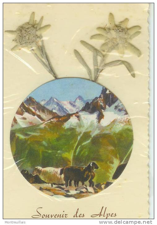 Fantaisie, Carte Neuve,  Souvenir Des Alpes Avec Fleurs Séchèes, Sous Emballage Plasitifié D'origine - Rhône-Alpes