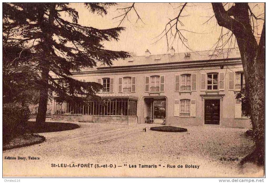 95 ST LEU LA FORET Les Tamaris Rue De Boissy  Beau Plan - Saint Leu La Foret