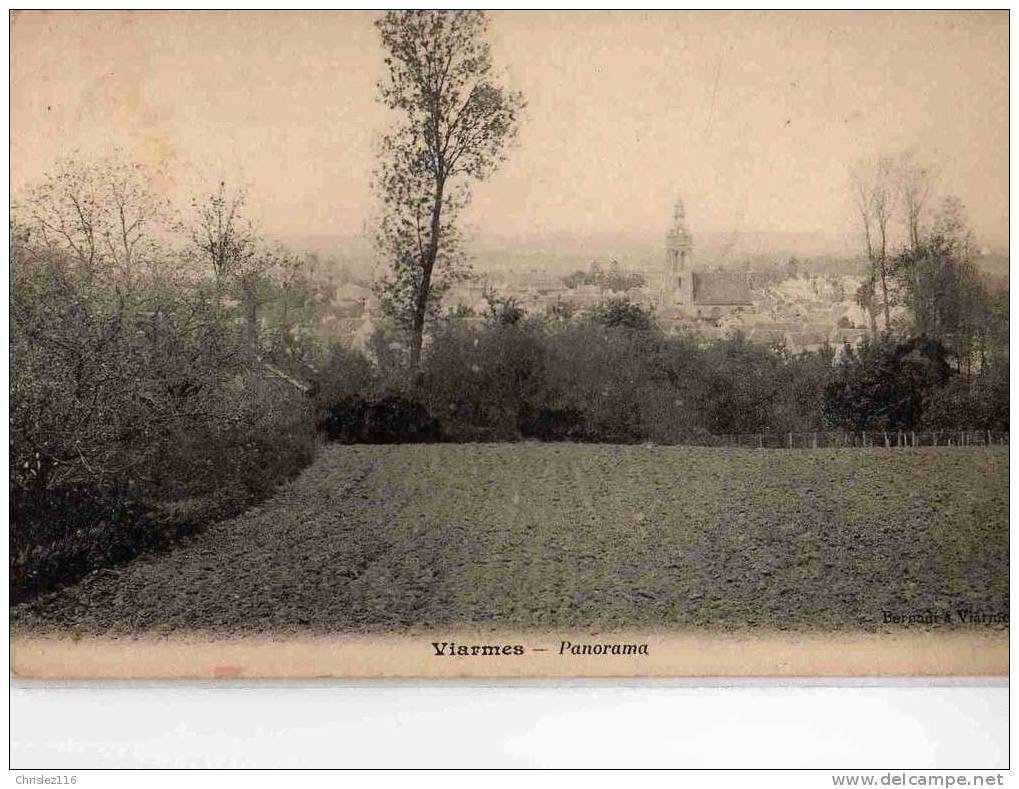 95 VIARMES Panorama  Beau Plan  1904 - Viarmes