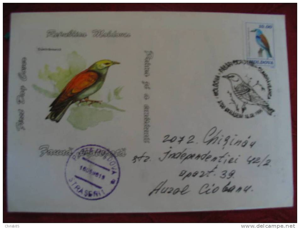 OBLITERATION OISEAU MOLDAVIE 1996 - Mechanical Postmarks (Advertisement)