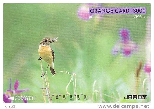 Rare Carte Japon Orange - Oiseau Et Fleur Iris - Bird Japan Card - Vogel Karte - 27 - Songbirds & Tree Dwellers