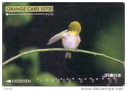 Carte Japon Orange - Oiseau Zosterops Fauvette Japonaise - Songbird Bird Japan -  Singvogel Vogel - 29 - Pájaros Cantores (Passeri)
