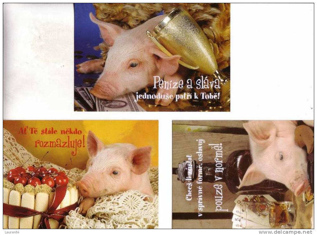 3 Postcards Of Pig - 3 Carte De Cochon - Schweine