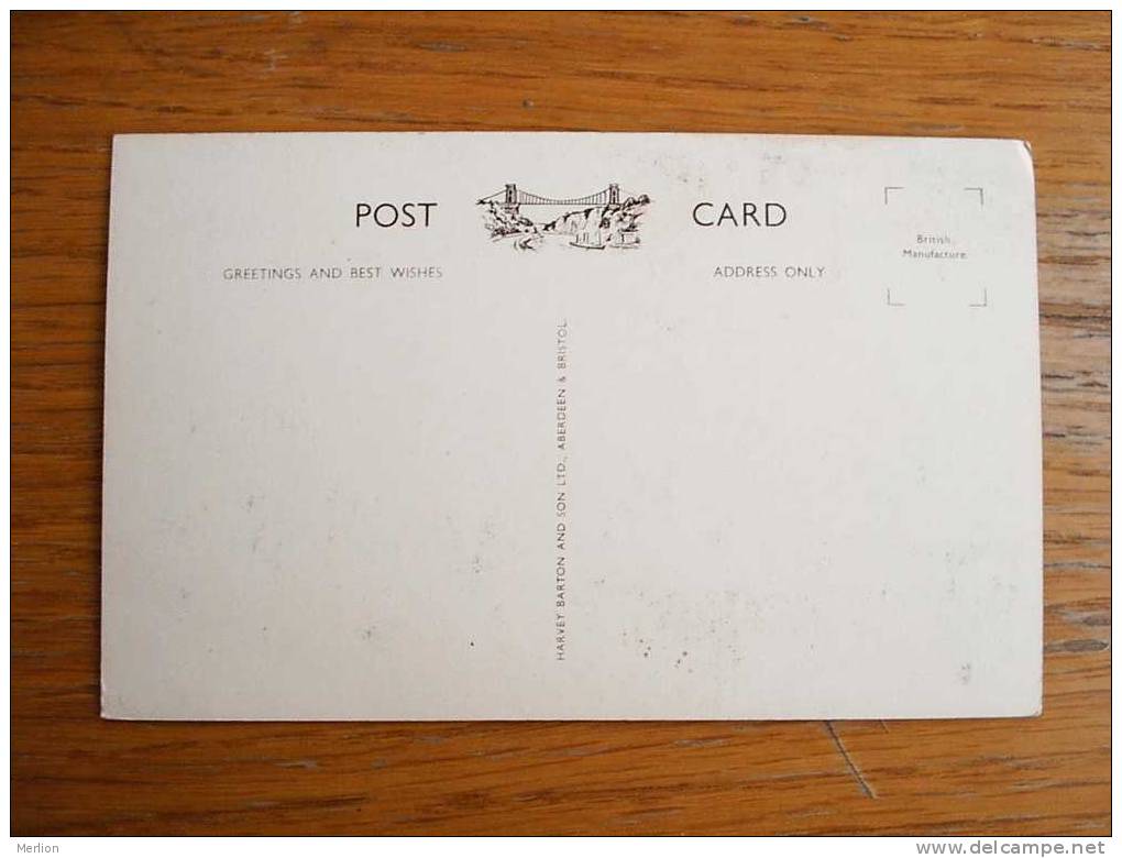 Paignton , Yacht Racing ,  Cca 1960-70  VF+  D7621 - Paignton