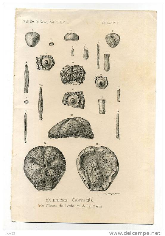 - ECHNIDES CRETACES . BULL. SOC. SC. YONNE 1894. PL.I . LITHO DU XIXe S. - Autres & Non Classés