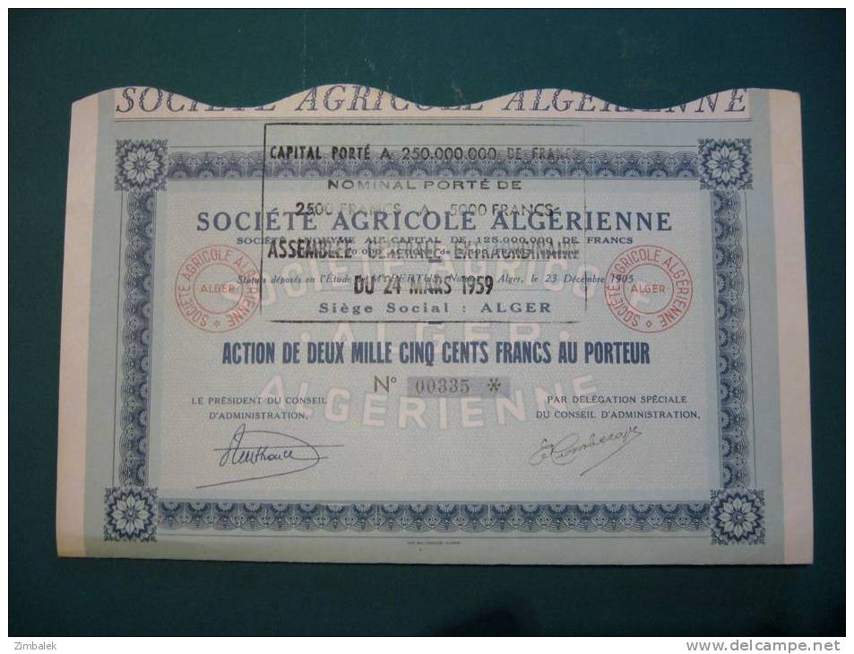 SOCIETE AGRICOLE ALGERIENNE - Afrique