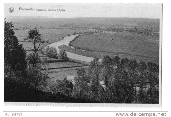 PANORAMA DERRIERE L´EGLISE     CP 291 - Florenville