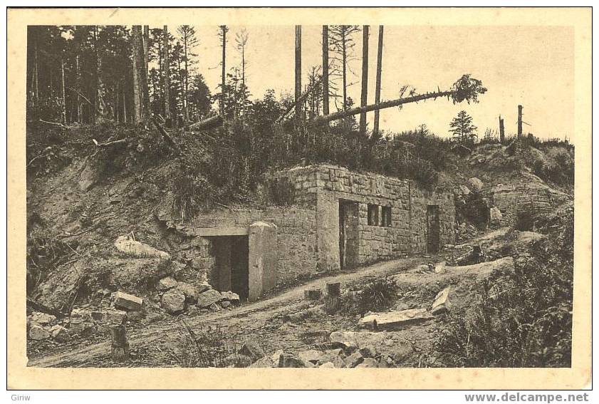 Les Vosges Environs De Senones Blockaus Allemand Sur Le Sentier Picot Ou Sentier Rouge - Senones