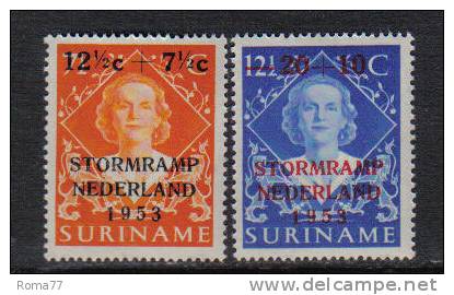 PD223 - SURINAME ,  Serie Yvert 288/289  *** - Surinam ... - 1975