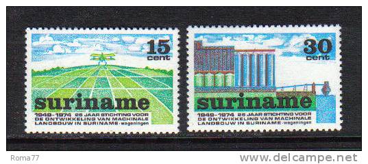 PD227 - SURINAME ,  Serie Yvert 598/599  *** - Suriname ... - 1975